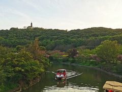 -苏州上方山国家森林公园