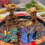 这家在洛阳新开的嘴巴爷美蛙鱼头火锅吃着真的很过瘾！