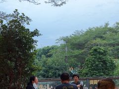 -陈鹏鹏潮汕菜(欢乐海岸 海边景观店)