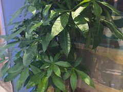 -江南宴•沿江菜(七街店)