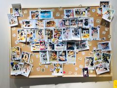 -逗柴咖啡屋·狗咖猫咖宠物桌游