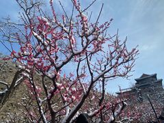 -北京明城墙遗址公园