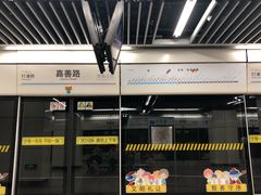 -嘉善路(地铁站)