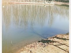 -东郊湿地公园