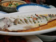 清蒸长江鲈鱼-城北食府(枫林店)