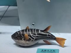 -天津自然博物馆