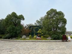 -苏州太湖国家湿地公园