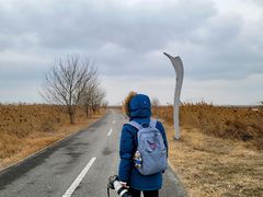 -盐城丹顶鹤湿地生态旅游区