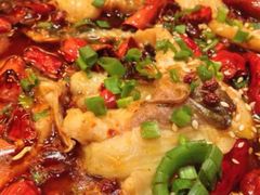 -陈麻婆豆腐总店