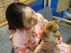 -南京Hallo宠物乐园·哈罗犬舍·柴犬繁育基地