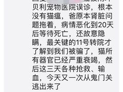 -贝利宠物医院·骨科·眼科·肿瘤转诊中心(南坪诊疗中心)