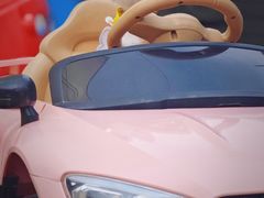 -百好乐宠物友好餐厅(朝外大街店)