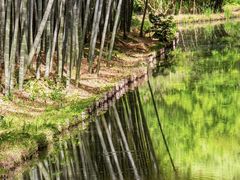 -同里国家湿地公园