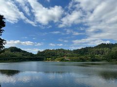 -番禺大夫山森林公园