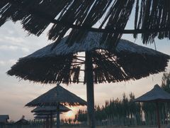 -包头南海湿地景区