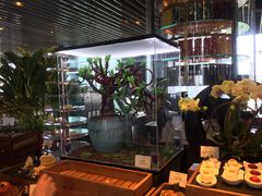 -广州富力君悦大酒店·凯菲厅