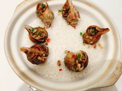 盐焗海螺-陶陶居酒家(第十甫路总店)