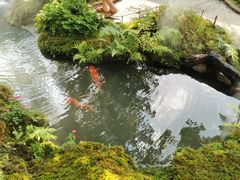 -Chom Cafe and Restaurant