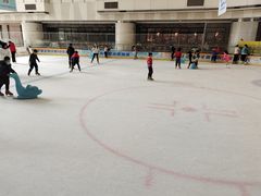 -冰纷万象滑冰场(二七万象城店)