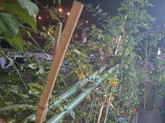 -江湖一盏灯·滇味卤烤(普惠园店)