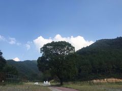 -木兰云雾山