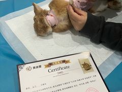 -美迦爱-牙专科·兔科·骨科诊疗中心(北苑店)