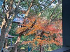 -中国茶叶博物馆(双峰馆区)