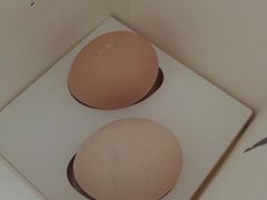 -巴思客蛋糕(交通路店)