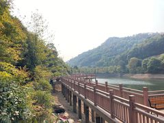 -桃花岭景区
