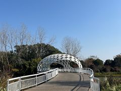 -同里国家湿地公园