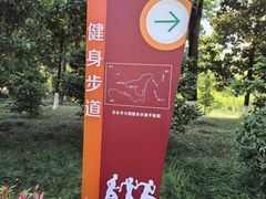 -龙头寺公园