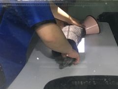 -佳雯宠物医院(金华南路分院)