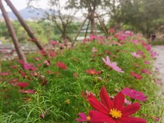 -浙江科技大学(小和山校区)