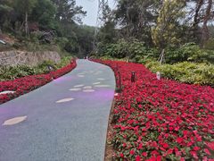 -仙岳公园