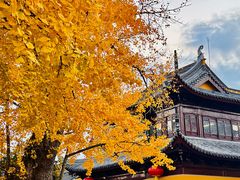 -圆通寺