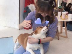 -浣熊柯尔鸭土拨鼠·电玩咖