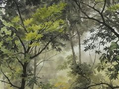 -攀枝花公园
