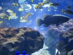 -海合安武汉极地海洋公园