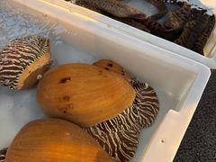 -海恋园海鲜餐馆