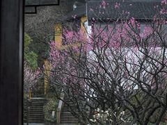 -苏州上方山国家森林公园