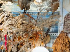 -野草莓自由市场