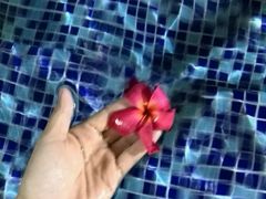 -喜来登健身中心