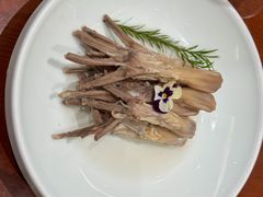 -丁老爷子苏香圆