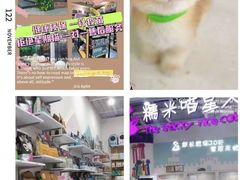 -糯米喵星人总部直营旗舰店·猫舍·幼猫出售