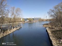 -大兴滨河森林公园