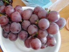 -新隆嘉供销超市(青岛瑞昌路店)