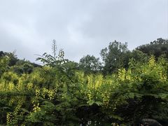 -黔灵山公园