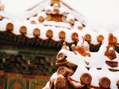 -故宫博物院(故宫)