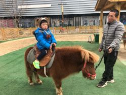 -萌宠亲子动物乐园(槐房万达店)