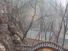 -抱犊崮国家森林公园
